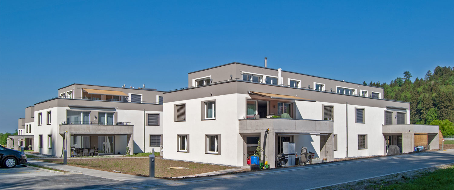 Projekt «Im Hasel» Oberwangen – Mai 2018