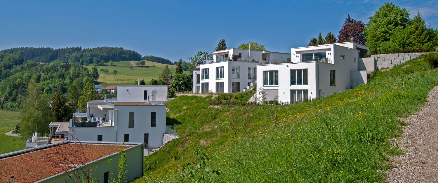 Projekt «Sunnehügel Hushalde» Dussnang – Mai 2018