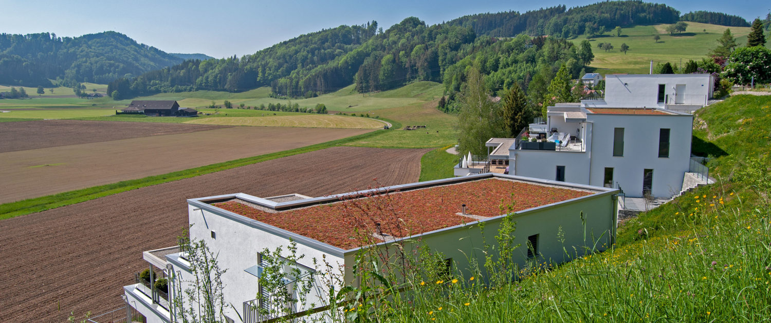 Projekt «Sunnehügel Hushalde» Dussnang – Mai 2018