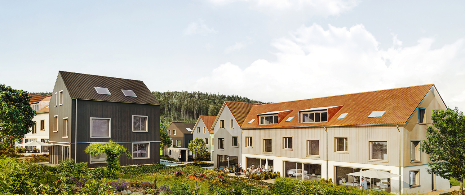 Projekt «Ernteblick» Dietschwil | Ansicht von Südwest